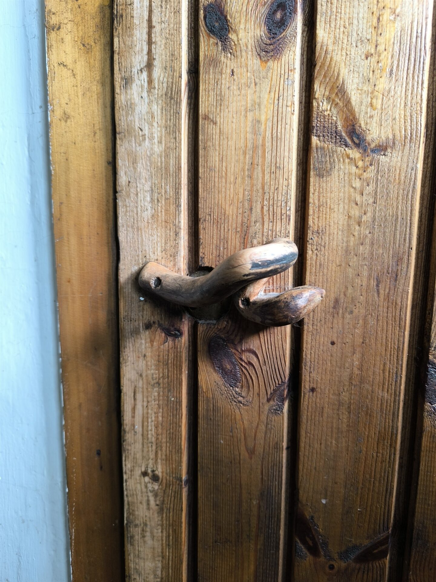 Kotit&auml;is kurke ja vihane Facebooki postitus