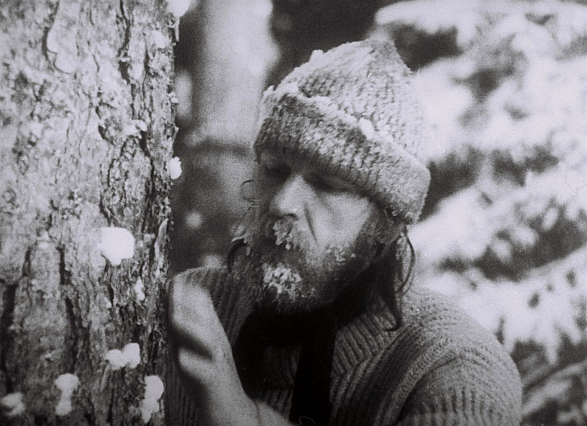 Elu on l&uuml;hifilmide jaoks liiga pikk ehk miks ma ei kannata l&uuml;hifilme